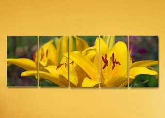 Tablou multicanvas - Detaliu floare crin
