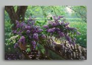 Tablou canvas - Flori proaspete de liliac