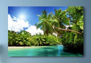 Tablou canvas - Plaja si palmieri