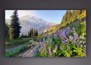 Tablou canvas - Vara alpina