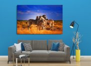 Tablou canvas -Familie de zebre