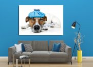 Tablou canvas -Funny dog