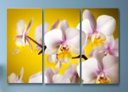 Tablou multicanvas - Detaliu orhidee