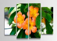 Tablou multicanvas - Flori portocalii