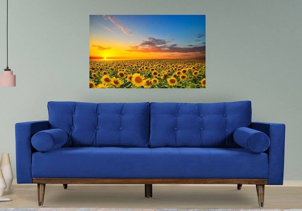 Apus peste lanul de floarea soarelui -  Foto Poster