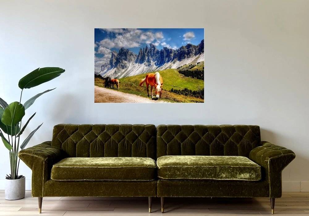 Cai pe pasune alpina - Foto Poster