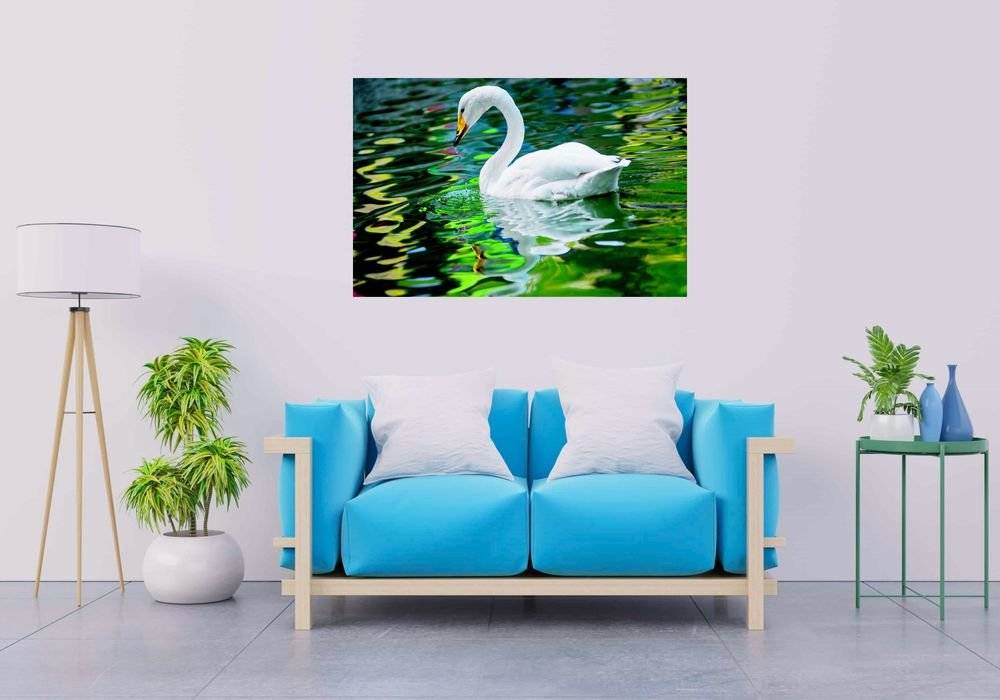 Lebada - Foto Poster