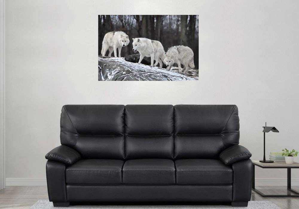 Lupi in haita - Foto Poster