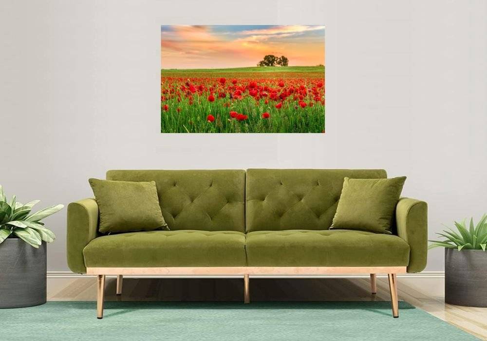 Maci la marginea campiei - Foto Poster