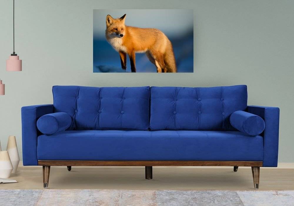 O vulpe in iarna - Foto Poster