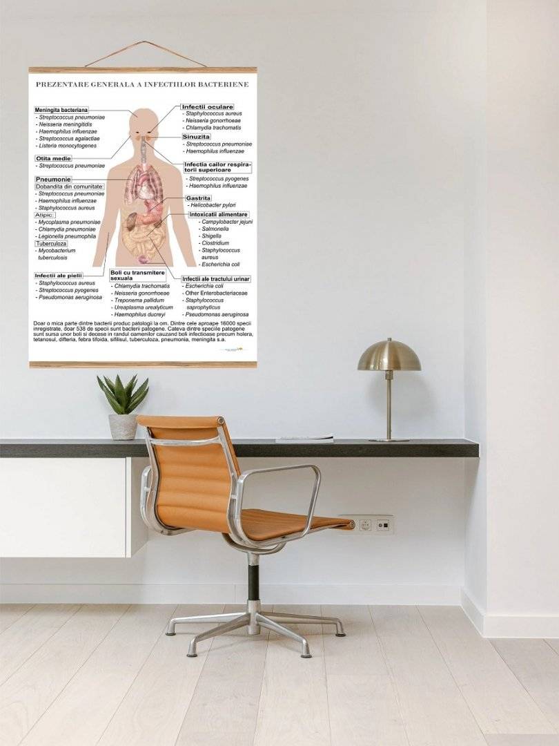 Plansa medicala - Infectii bacteriene - Prezentare generala