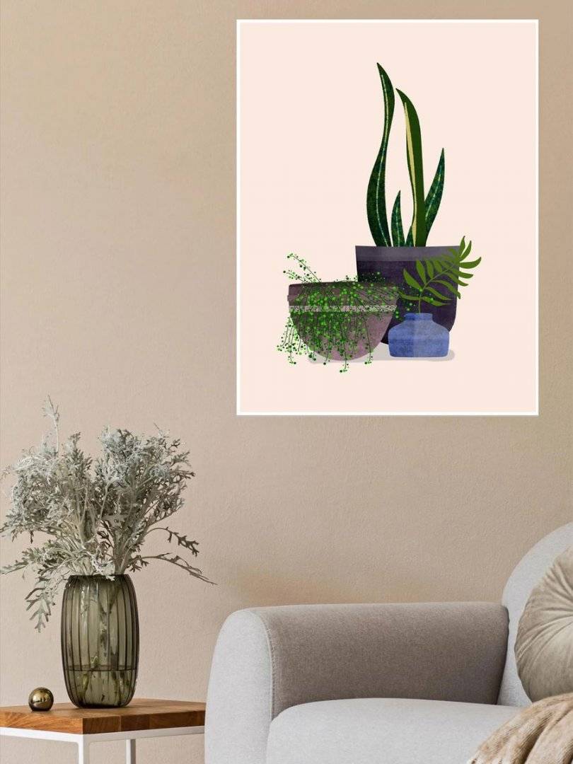 Poster boho art - Plante in ghivece