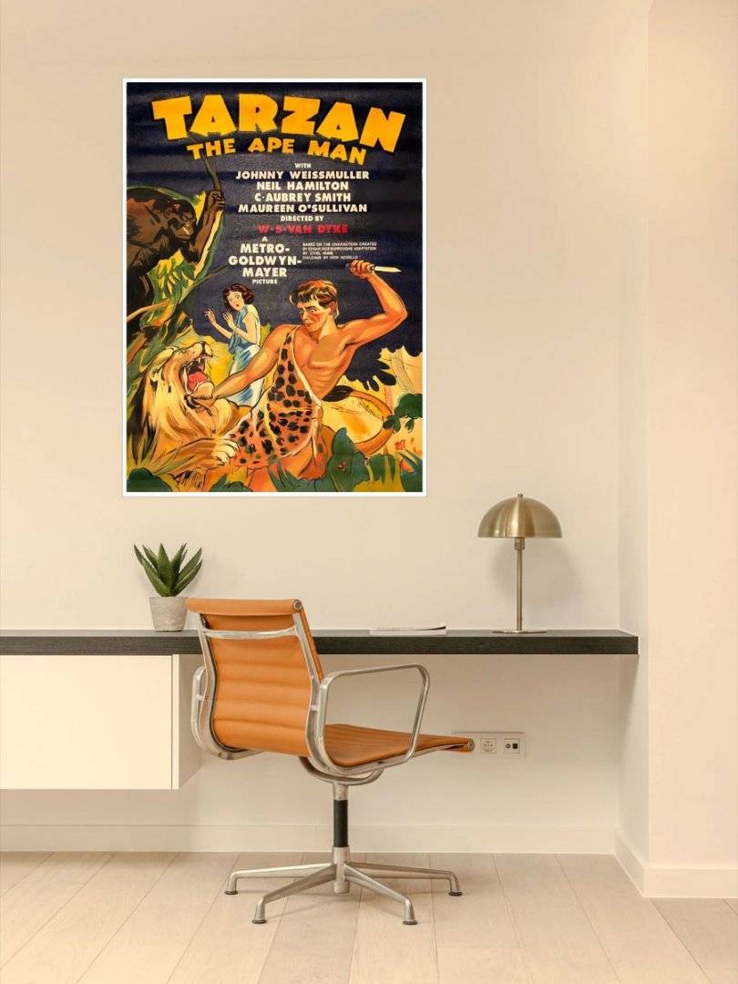 Poster film-Tarzan-foto poster decorativ 