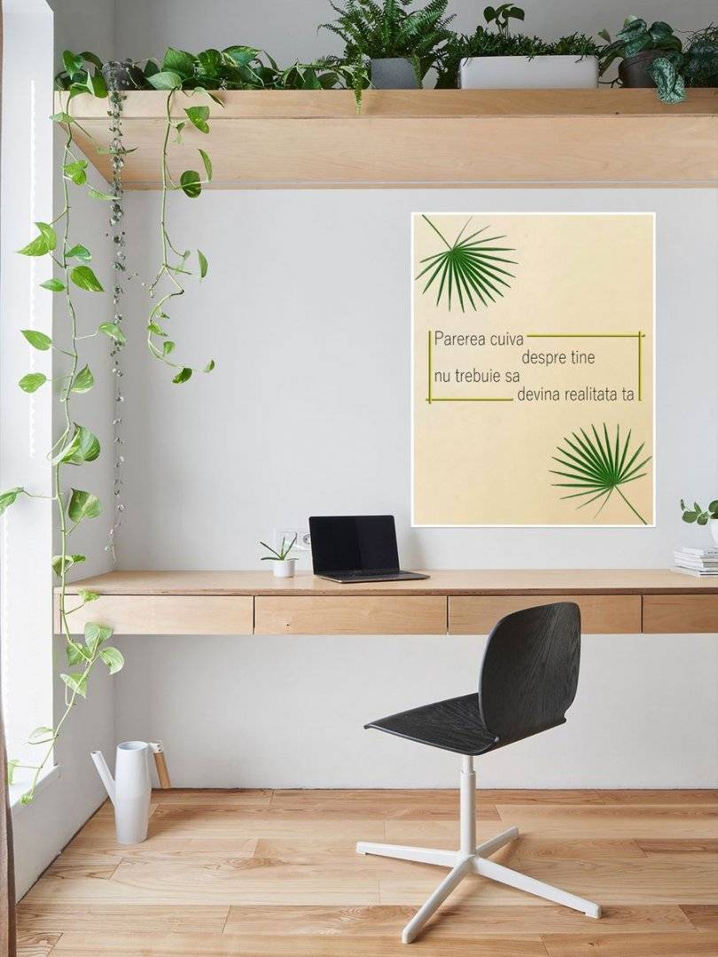 Poster motivational - Despre opinii