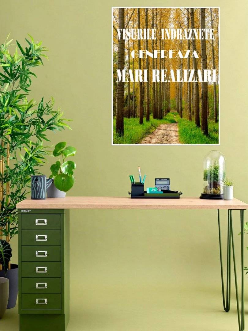 Poster motivational - Despre visuri