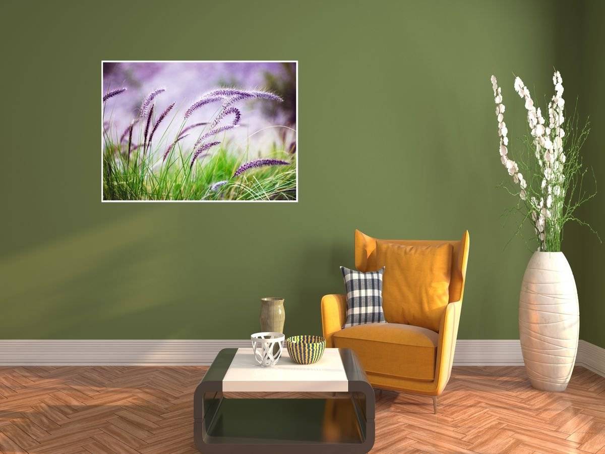 Poster natura - Ierburi diafane