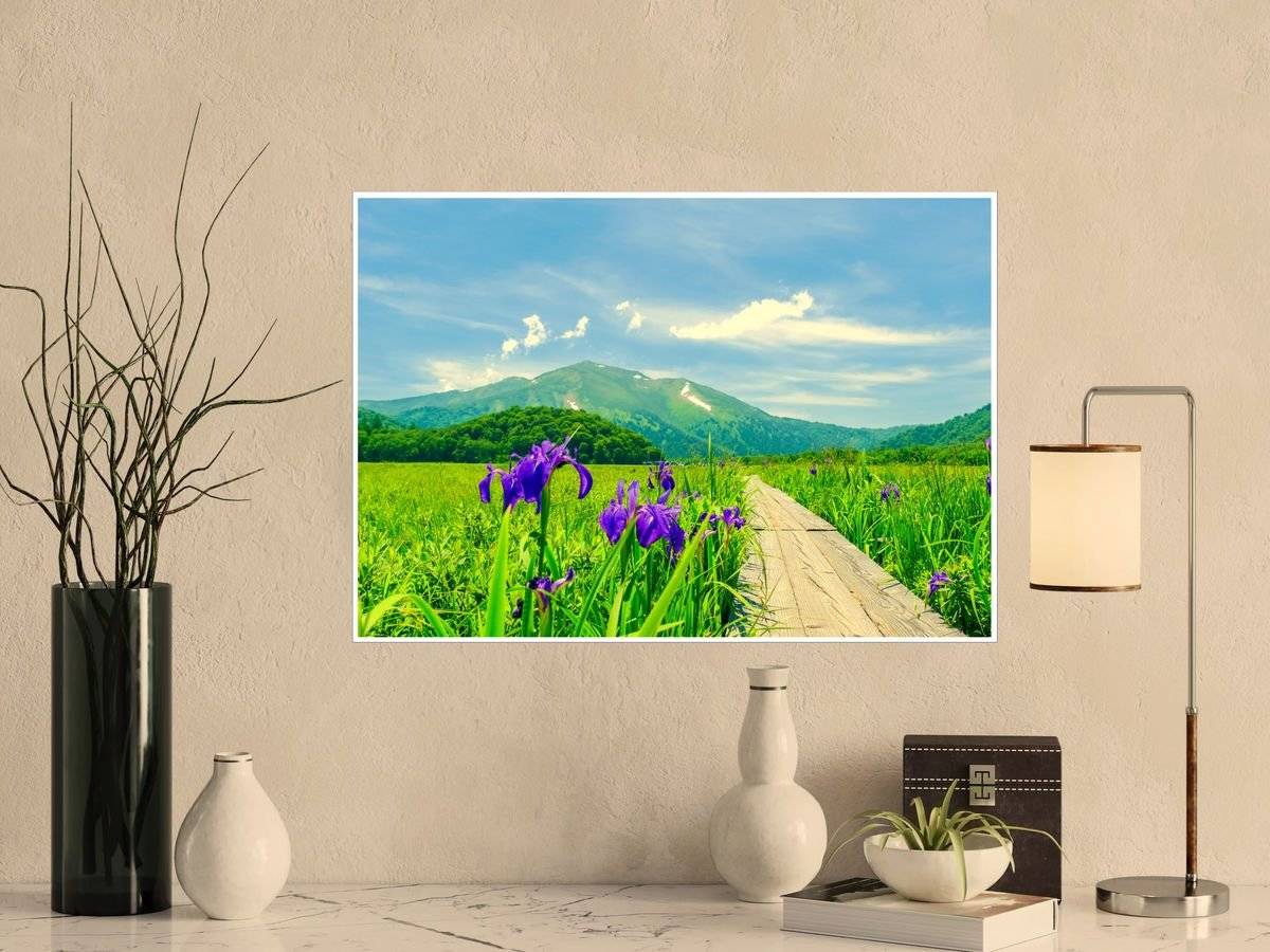 Poster natura - Irisi