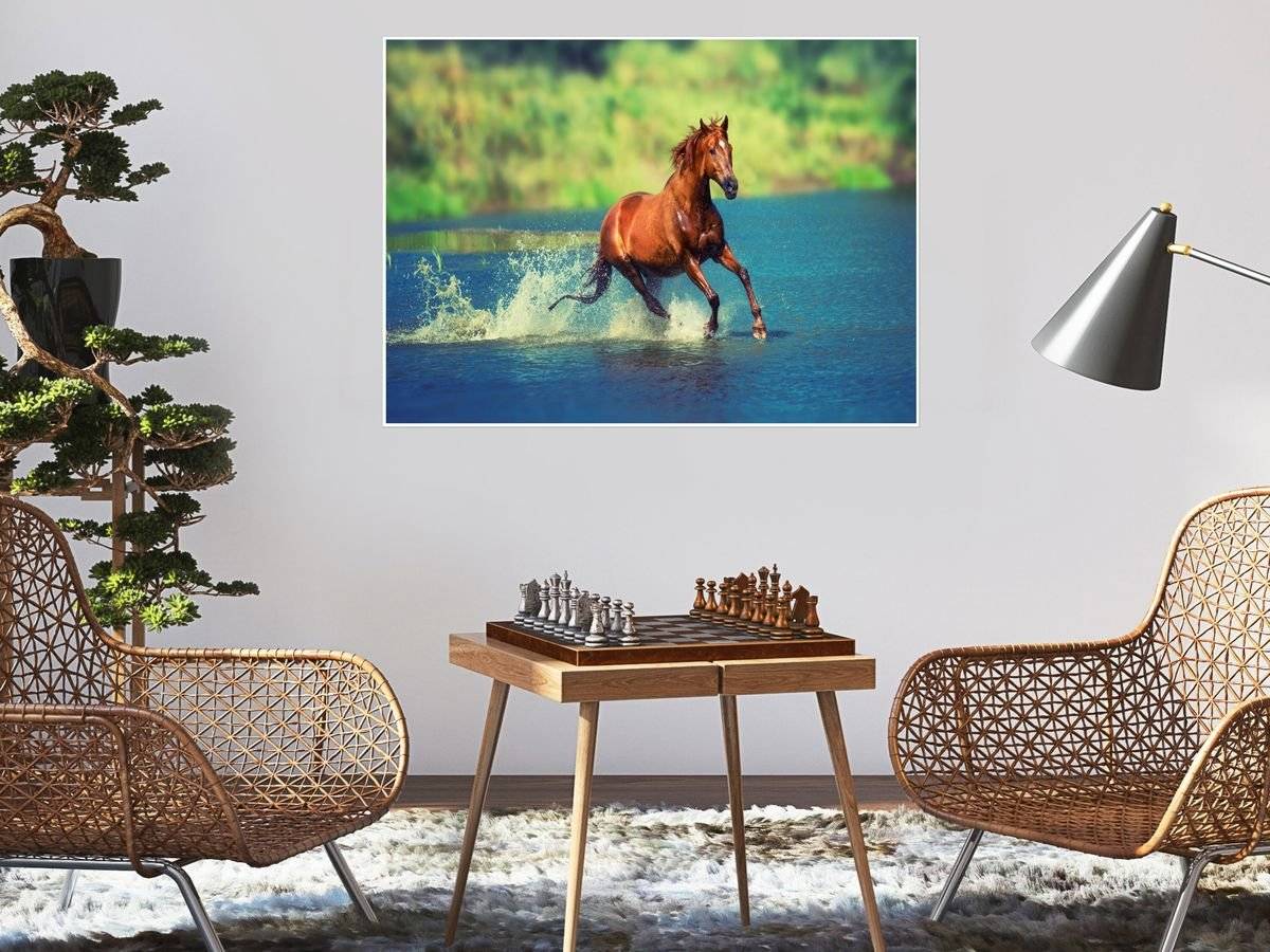 Poster natura - Armasar racorindu-se 