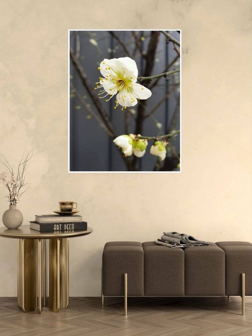 Poster natura - Armonii de primavara 