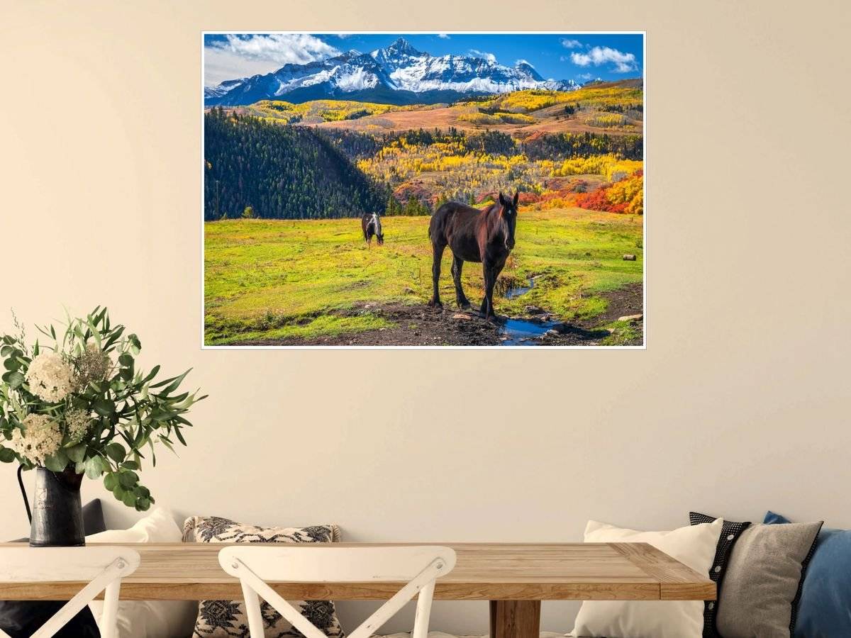 Poster natura - Cai pe pasune alpina 