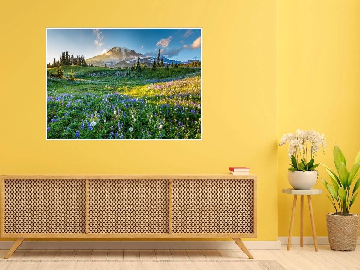 Poster natura - Campie inflorita 