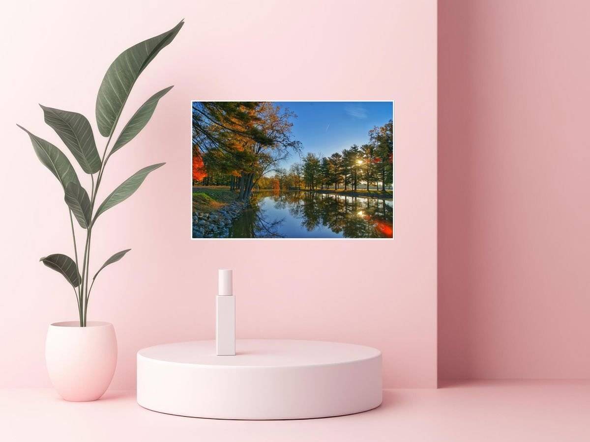 Poster natura - Copaci in luciul apei 