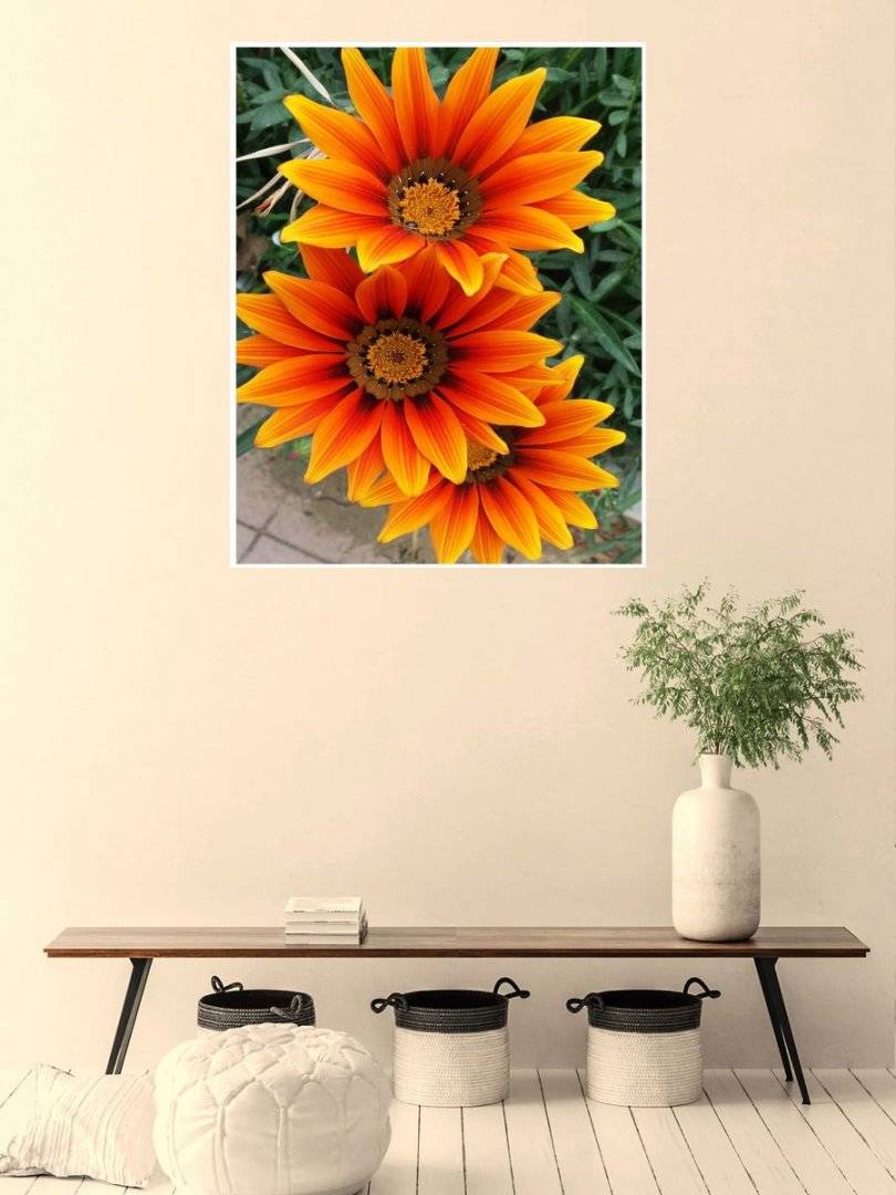 Poster natura - Delicatete si culoare 