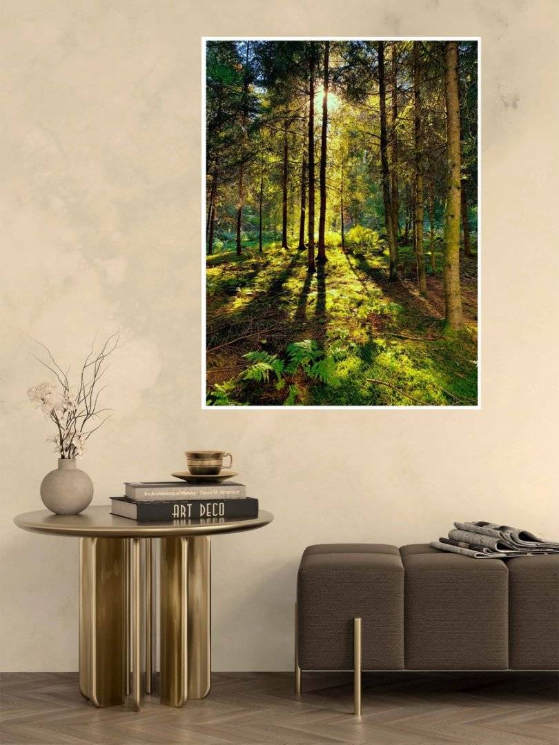 Poster natura - Dimineta insorita in padure