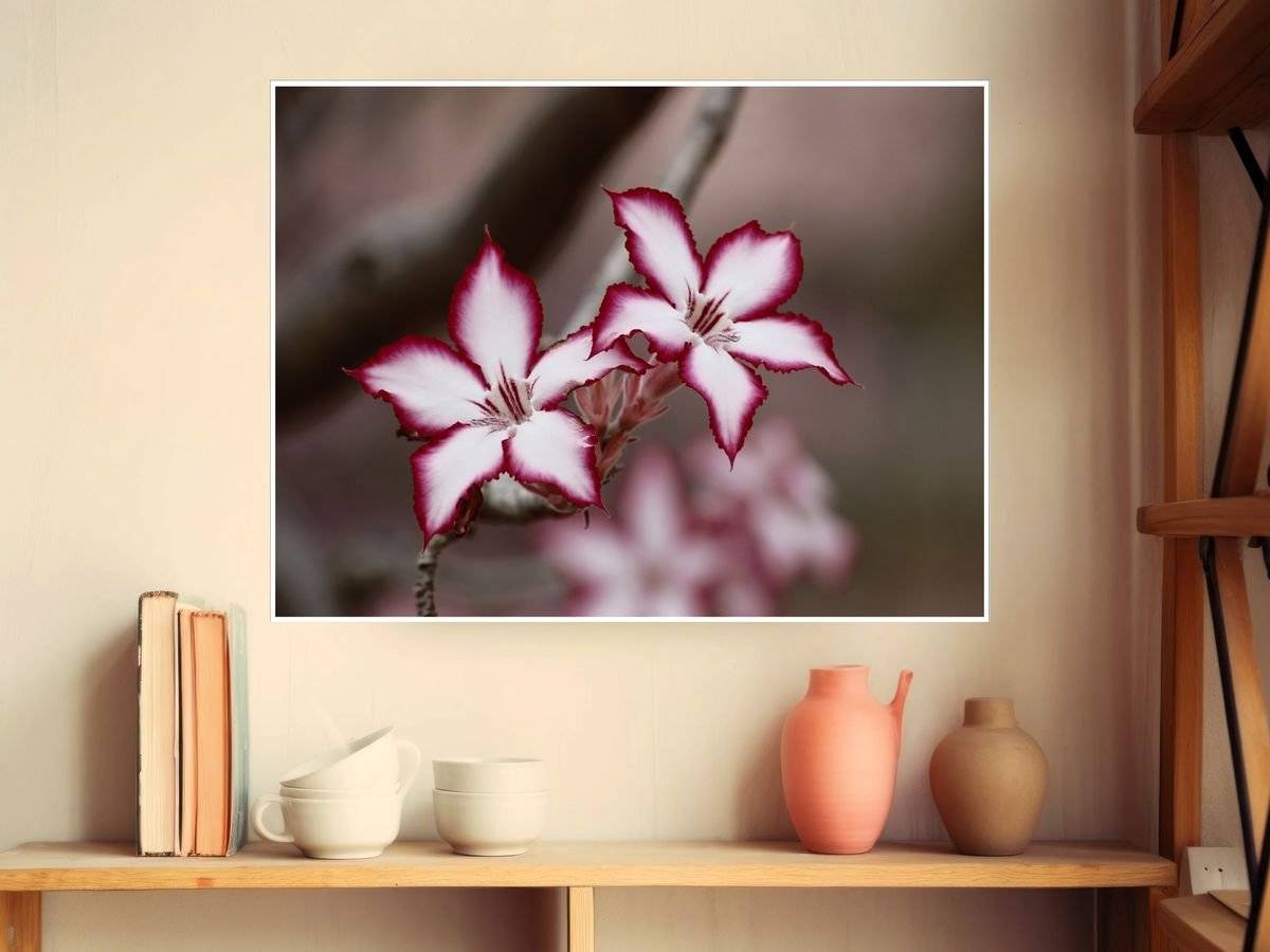 Poster natura - Floare liliac Impala 