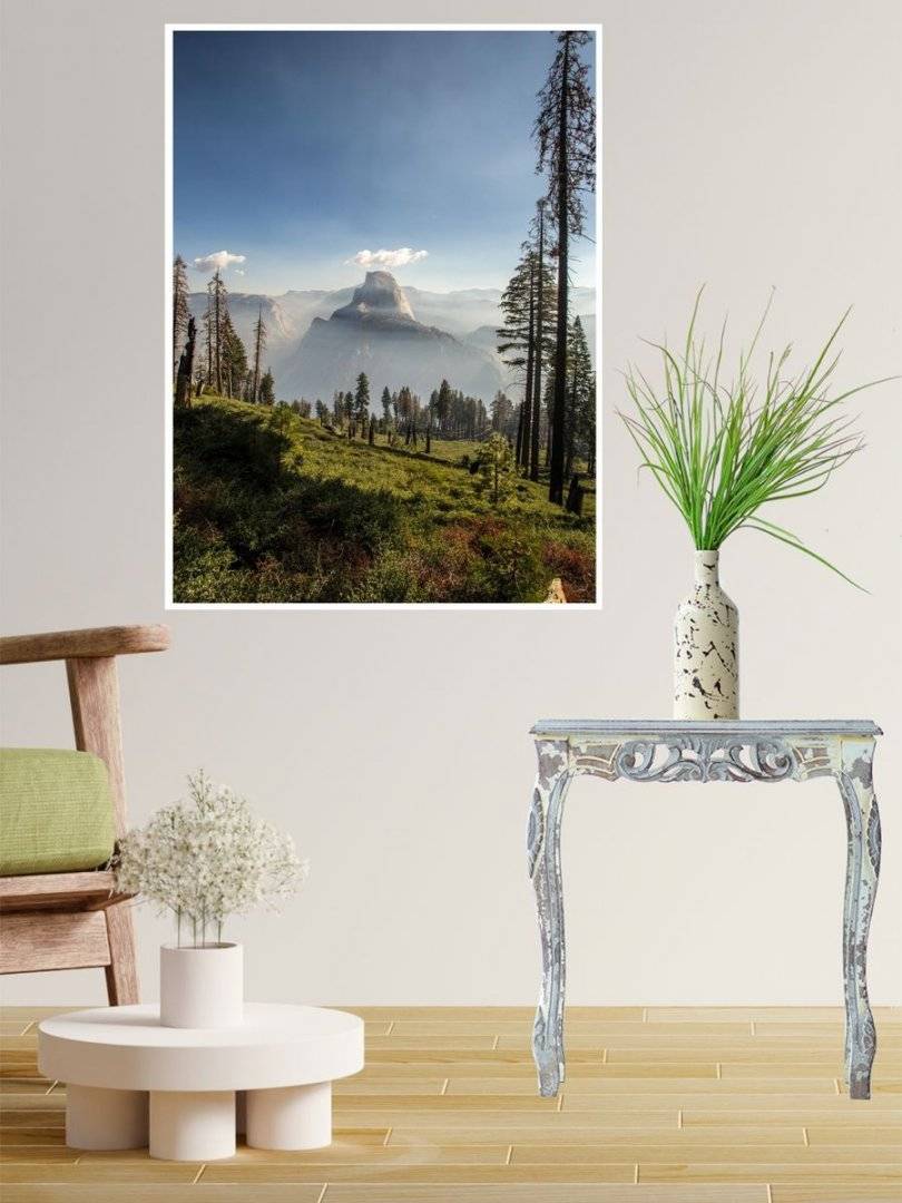 Poster natura - Padure alpina