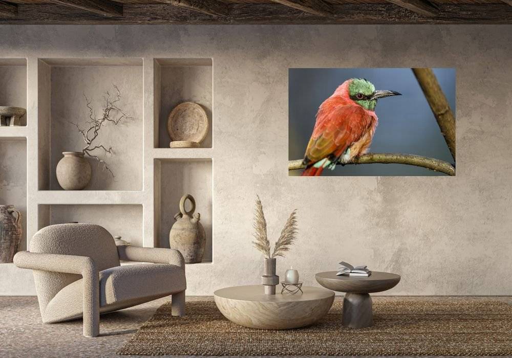 Prigorie - Foto Poster