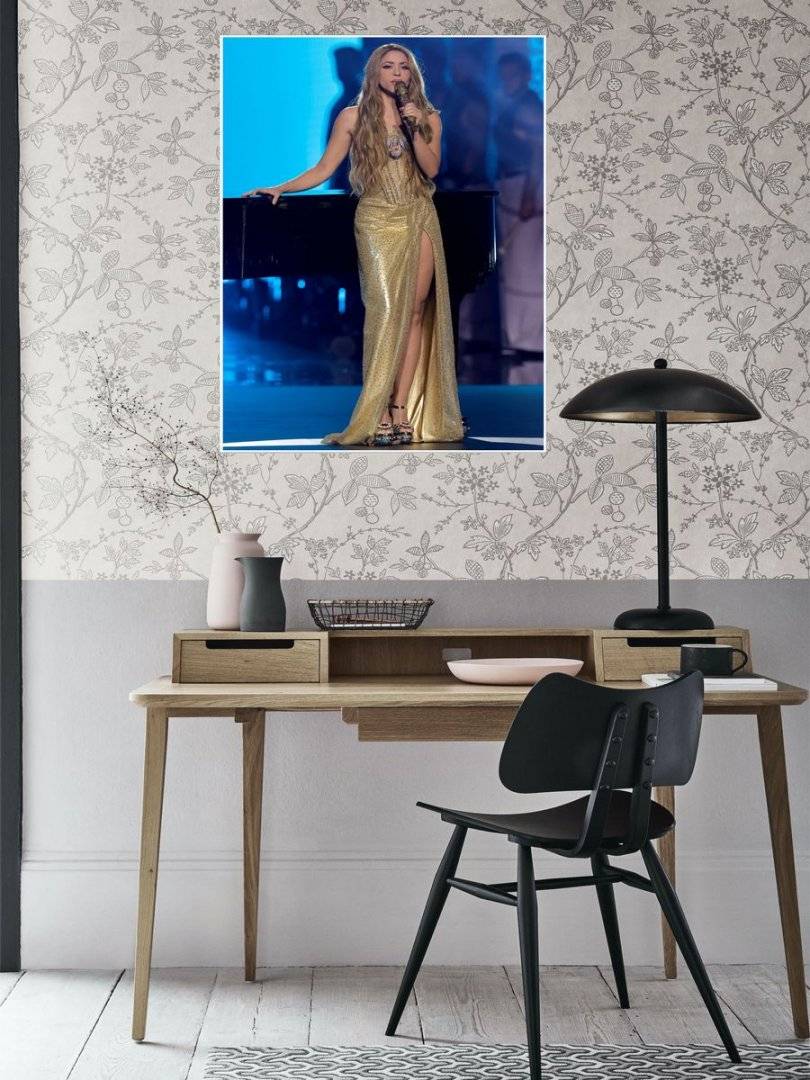 Poster muzica Shakira 