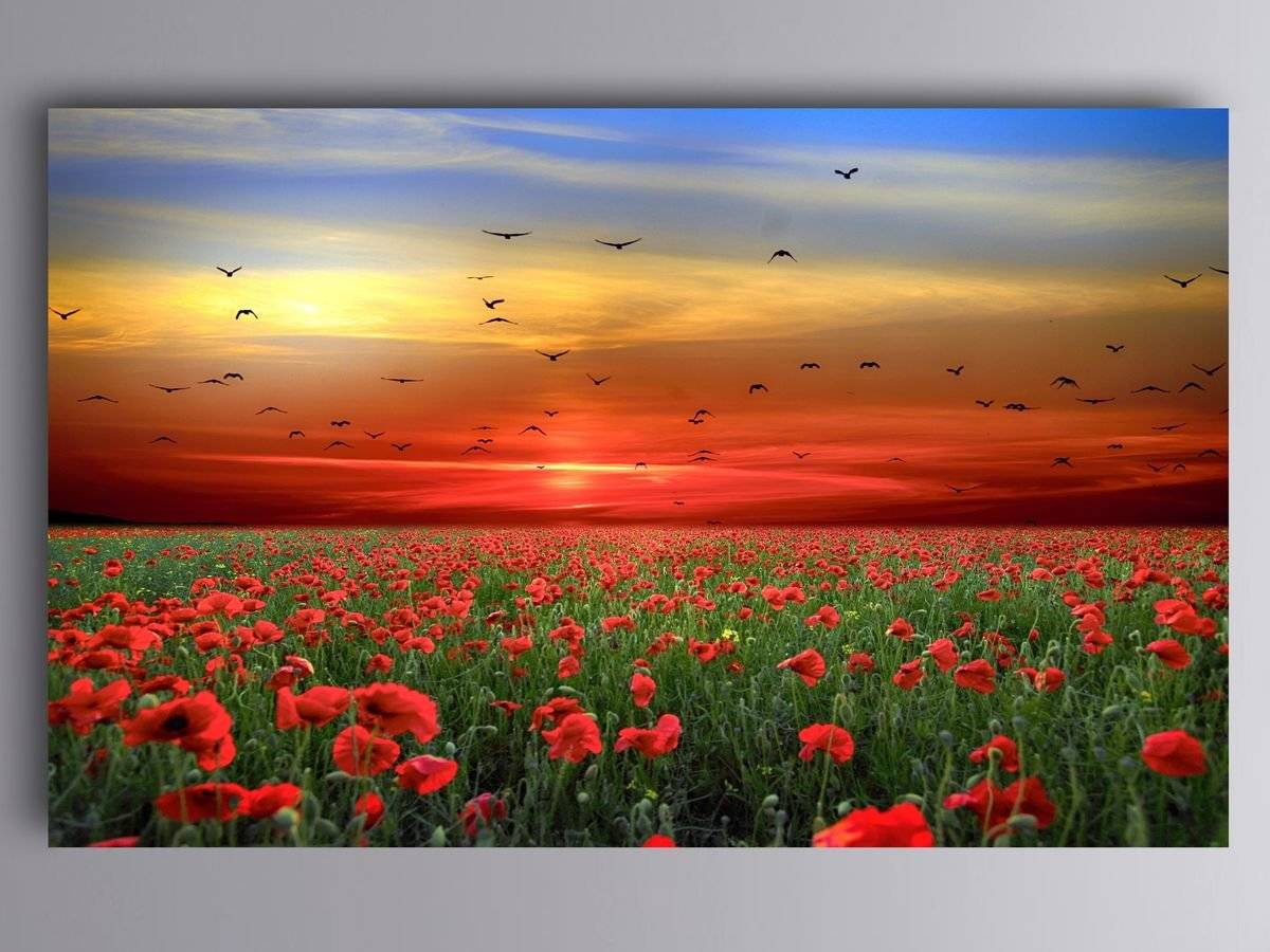 Tablou canvas - Contemplare in amurg