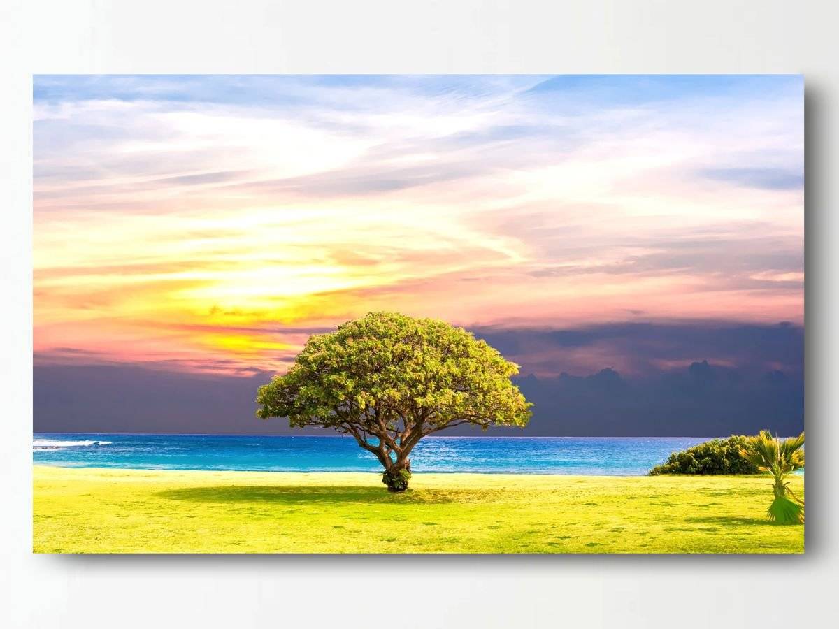 Tablou canvas - Copacul de la malul mării