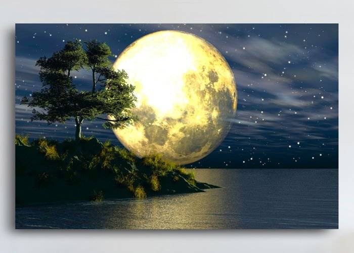 Tablou canvas - Fantezie cu luna plina