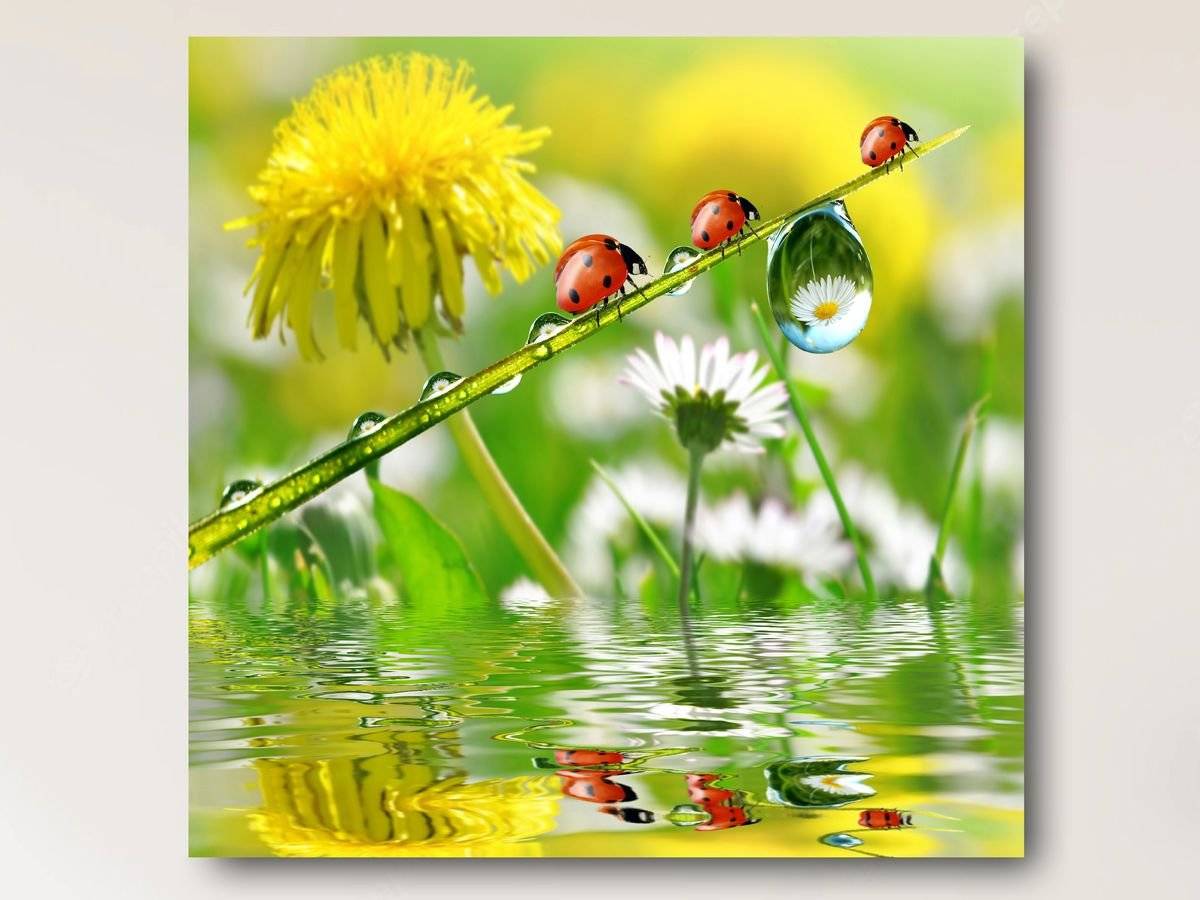 Tablou canvas - Gargarite pe firul ierbii