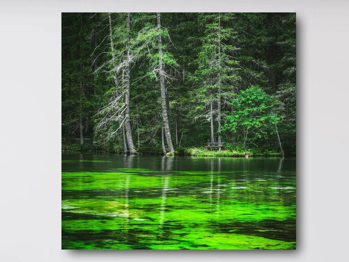 Tablou canvas - Oaza de smarald