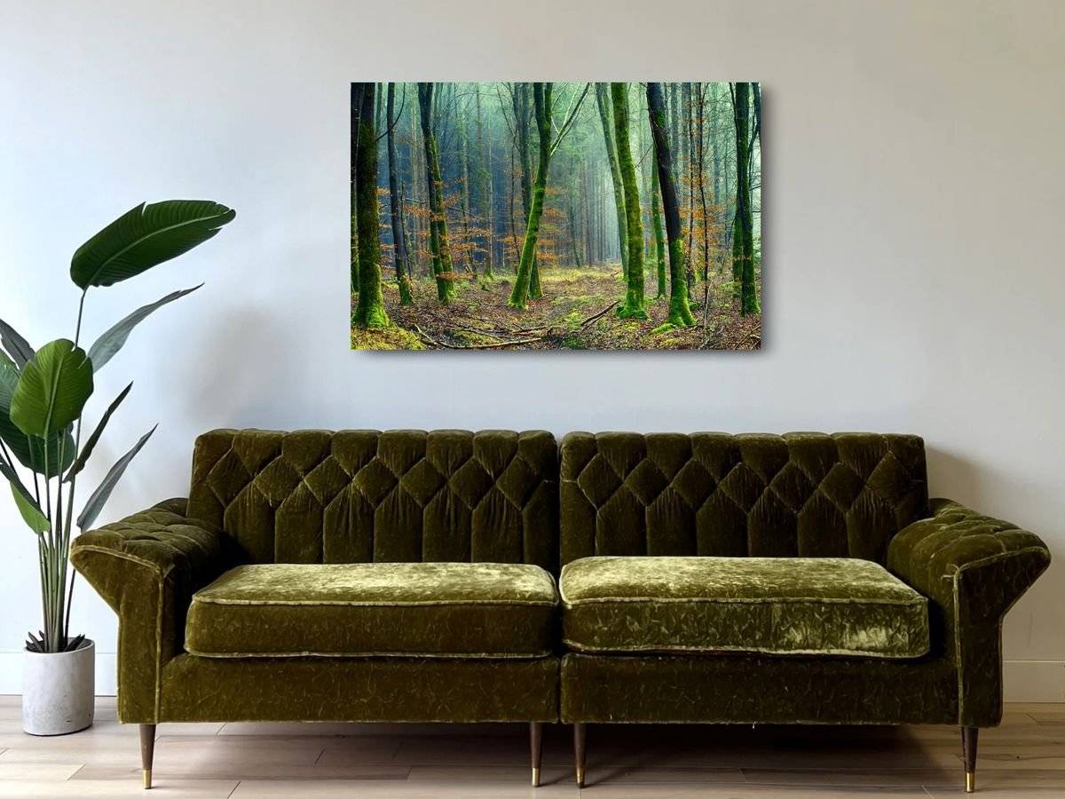 Tablou canvas - Padure