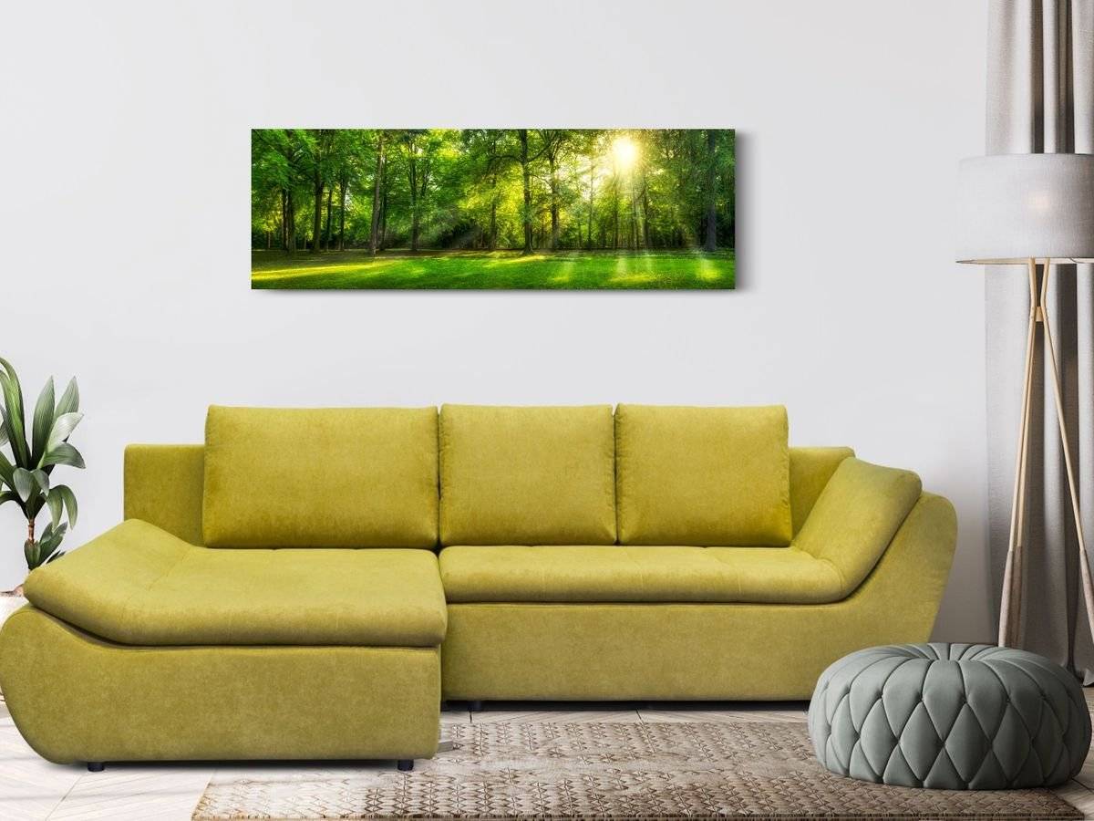 Tablou canvas - Padure insorita