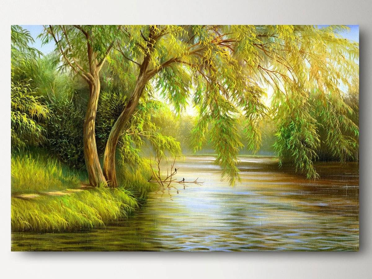 Tablou canvas - Rasarit de vara Tree River 