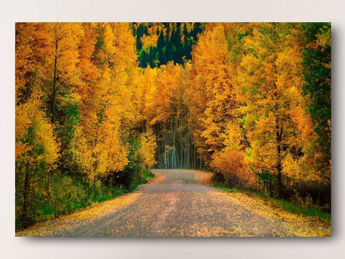 Tablou canvas - Sosea in culorile toamnei