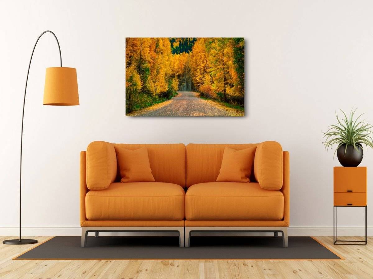 Tablou canvas - Sosea in culorile toamnei