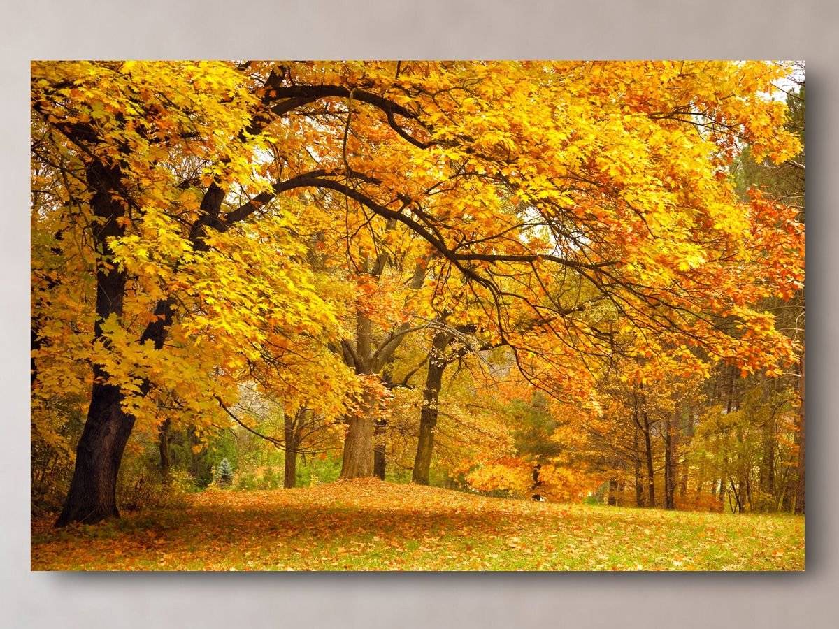 Tablou canvas - Toamna