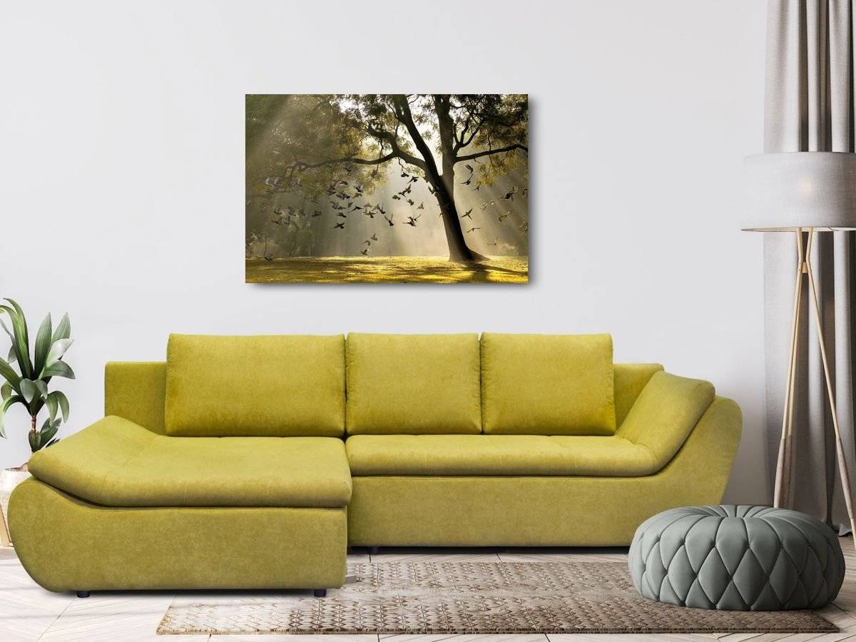 Tablou canvas - Zori de zi in parc