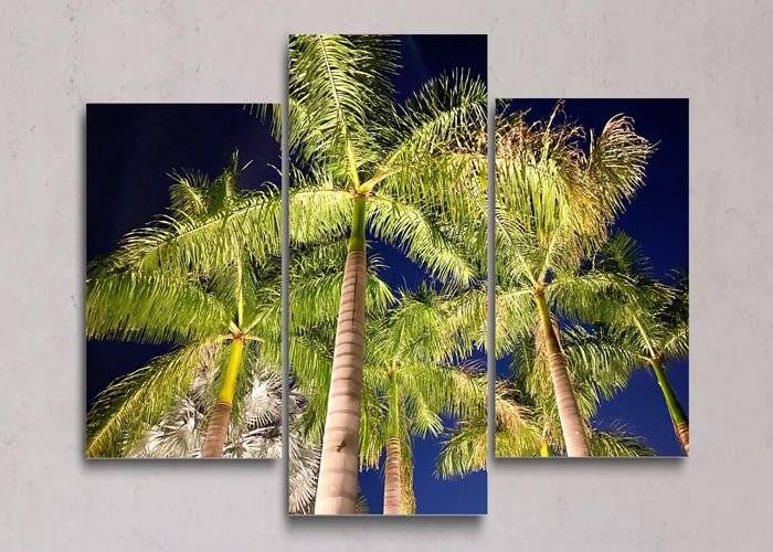 Tablou multicanvas - Palmier regal cubanez