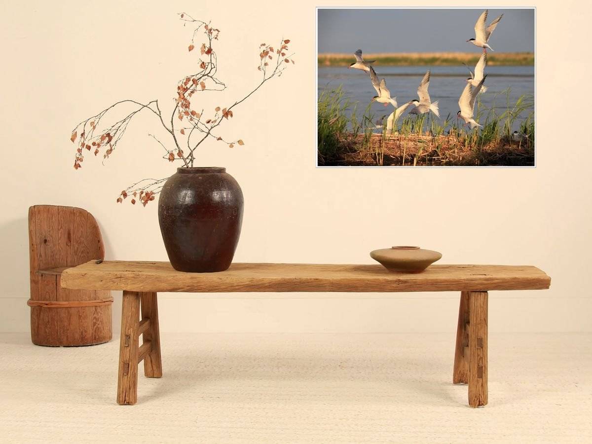 Poster natura - Zbor de pasari la malul apei