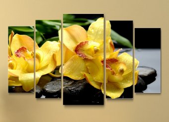 Tablou multicanvas - Orhidee si pietre negre