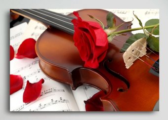 Tablou canvas -Romantic violine