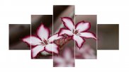 Tablou multicanvas - Detaliu floare