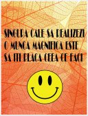 Poster motivational - Despre munca